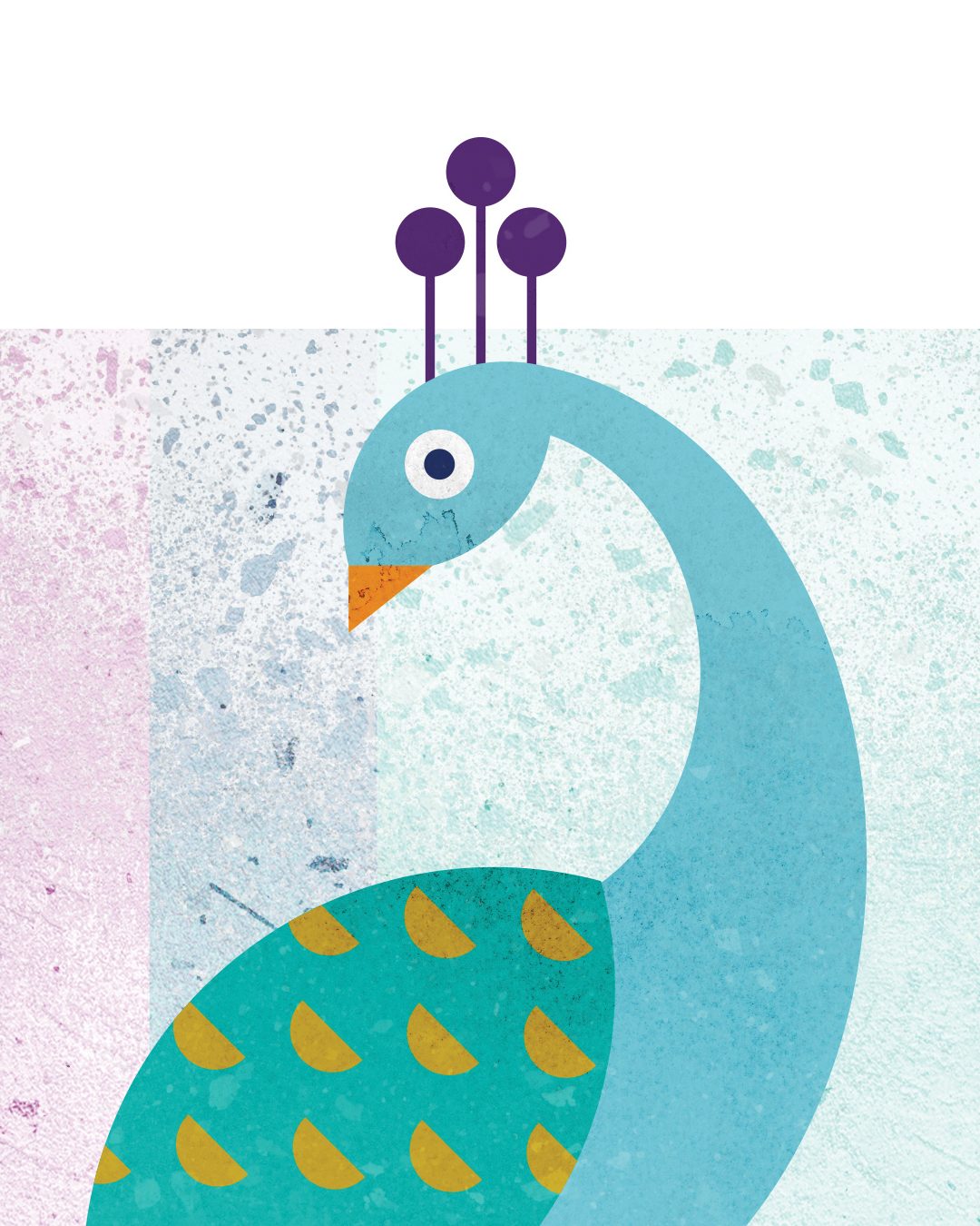 aves-2