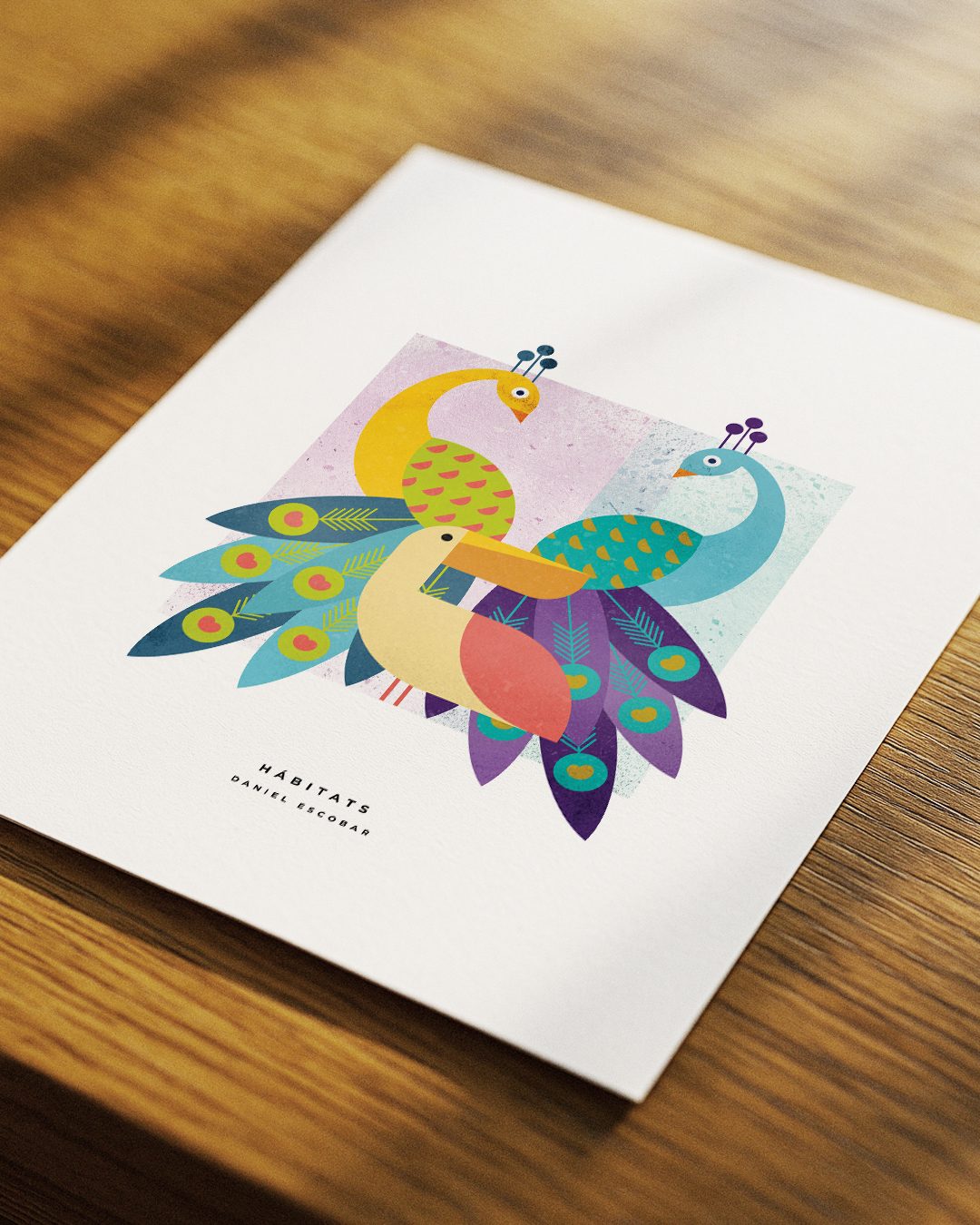 aves-3
